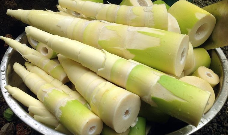 बस्तर का बास्ता(Bamboo Shoots) And 8 Health Benefit