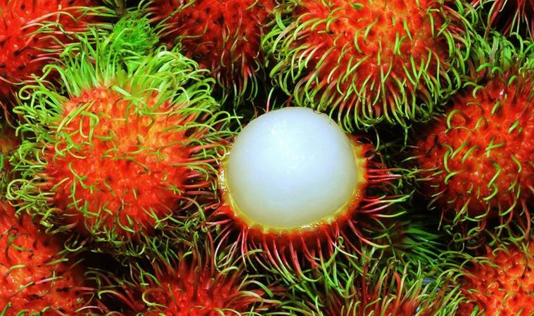 15 Excellent Health Benefits Of Rambutan The Healthiest Tropical Fruit