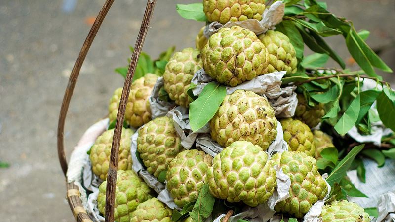 15 Health Benefits Of Atis Fruit The Sugar Apple Of Your Life