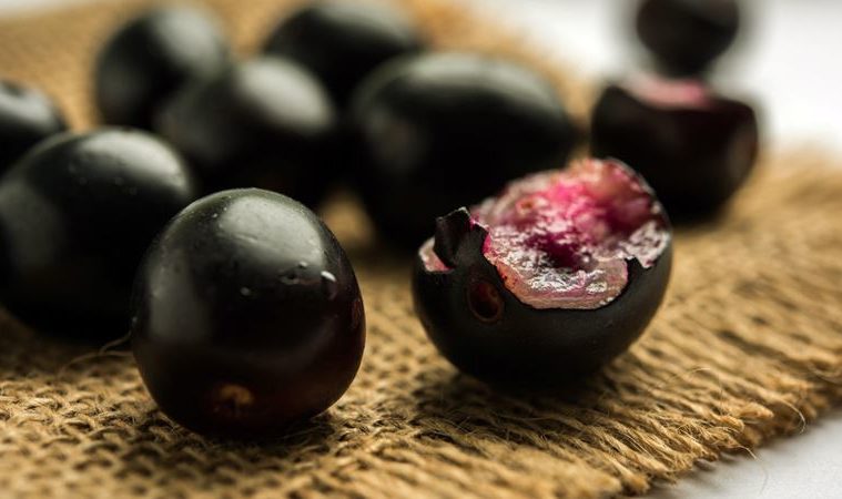 jamun-a-small-yet-powerful-fruit-hindustan-times