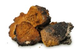 Health Benefits of Chaga Tea