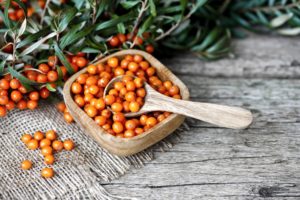 the healing nature of sea buckthorn berry